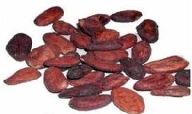 COCOA BEANS